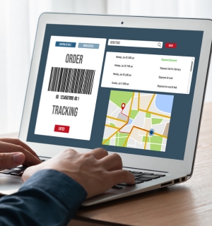 Website Localization